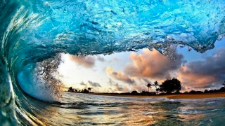 Illustration for article titled Tell Me You Don't Want To Go To Hawaii After Seeing These Pictures